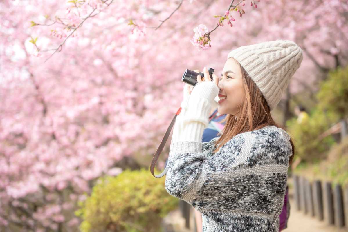 Seasonal Travel Guides - Experience Japan in Full Bloom