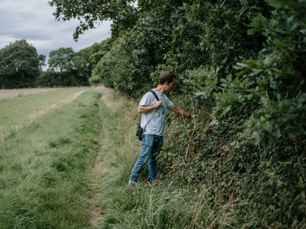 Join Foraging Tours That Uncover the Wild Flavors of Local Landscapes