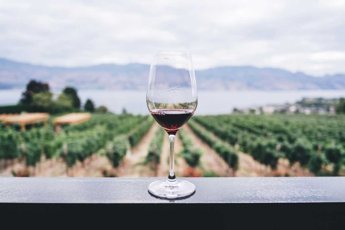 8 Unforgettable Winery and Vineyard Experiences Beyond Tasting Rooms